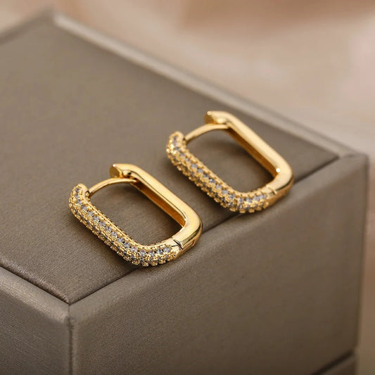 Luxury Hoop Earrings