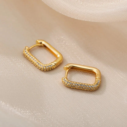 Luxury Hoop Earrings