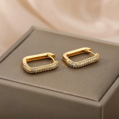 Luxury Hoop Earrings